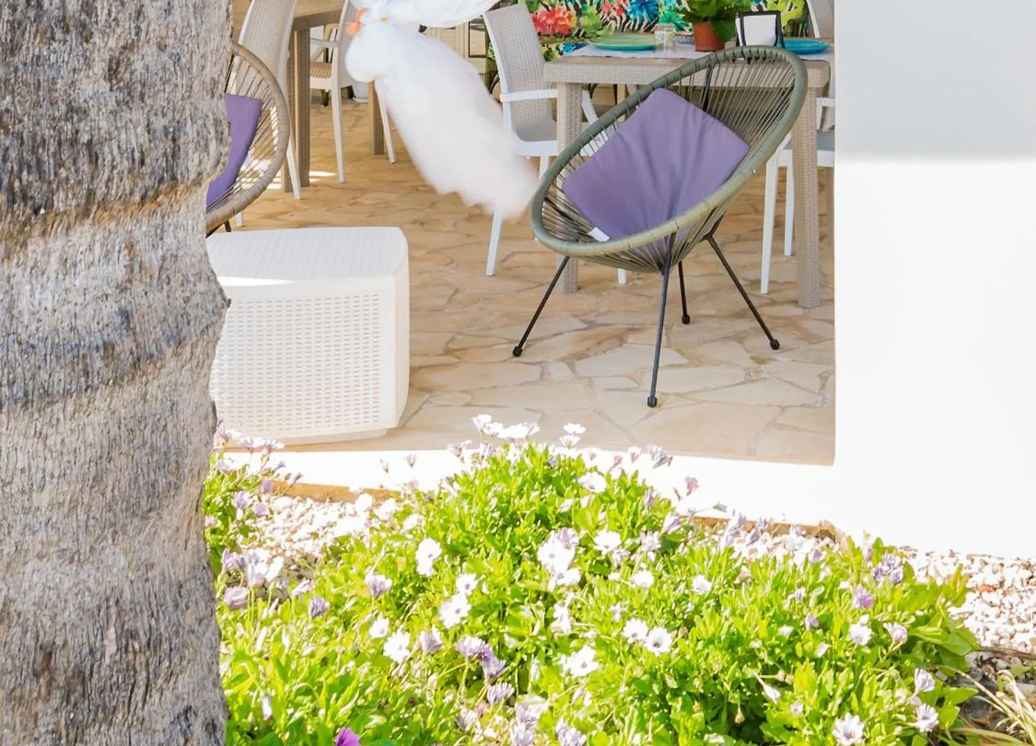 Villa Giummarito B&B Scicli 0*,